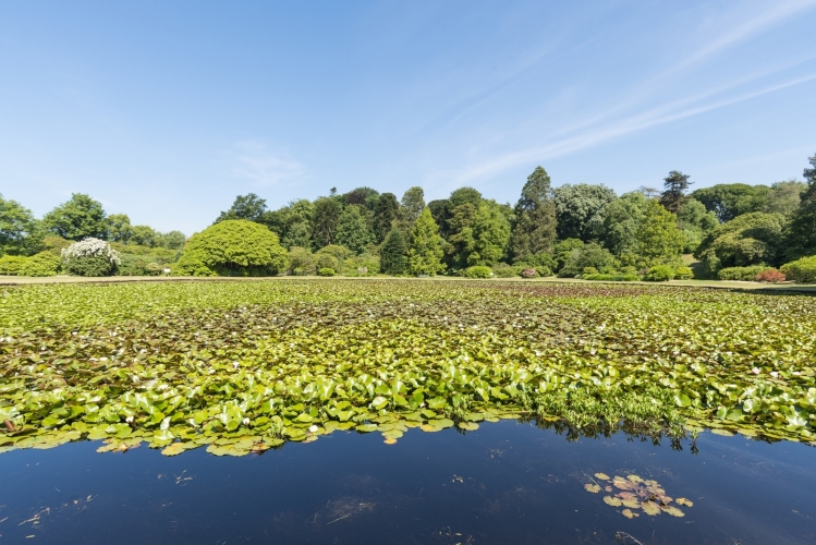 Castle Kennedy Gardens Dumfries & Galloway Schottland