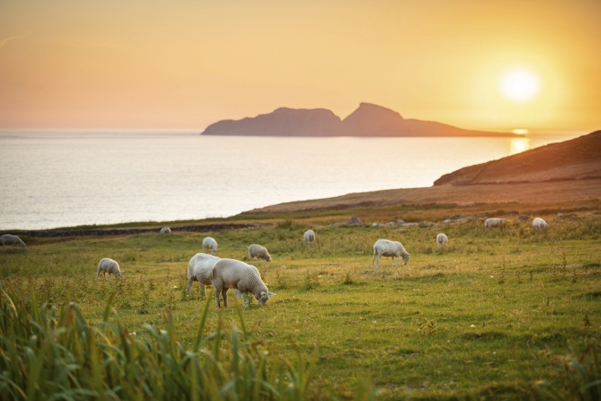 Autoreise Best of Ireland