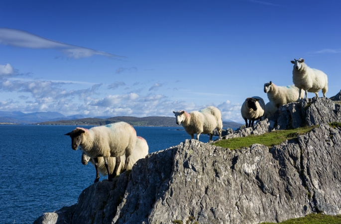 Motorradreise Rund um Irland