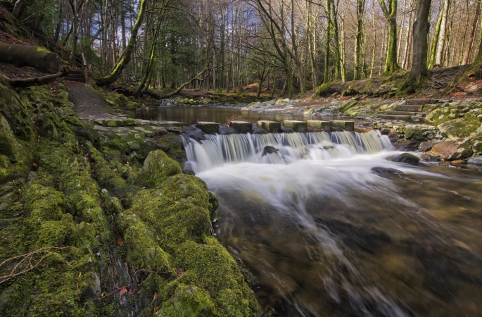 Tollymore Forest Nordirland