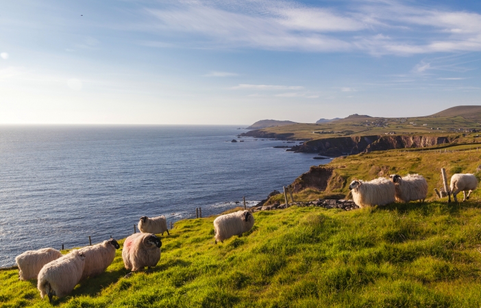 Radreise Dingle Peninsula