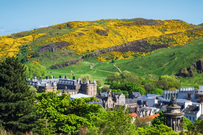 Holyrood Palace und Arthur's Seat in Edinburgh, Schottland, mit blühenden Hügeln im Hintergrund.