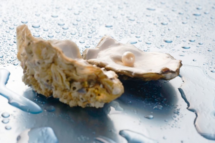 St. Ouen’s Bay/ Jersey Pearl