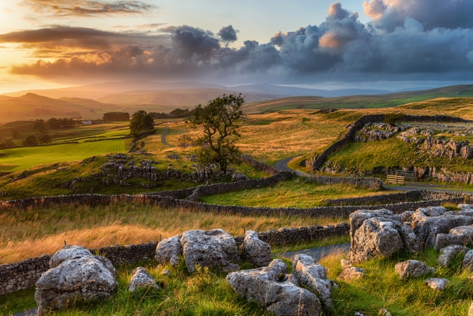 Landschaft mit grünen Feldern, Steinmauern und Baum im Sonnenuntergang.