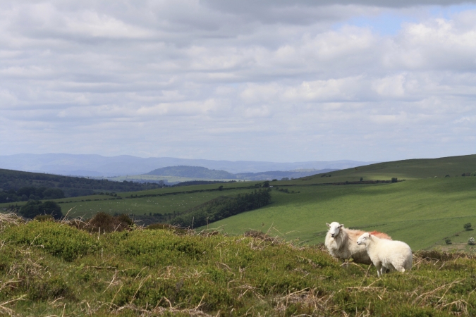 Wanderreise Shropshire Hills