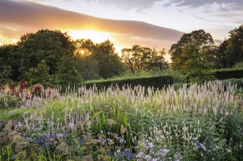 RHS Garden Harlow Carr Harrogate