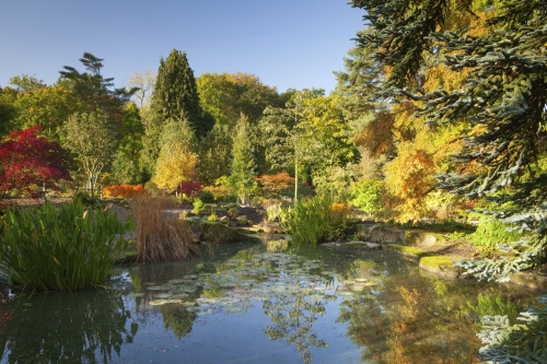 RHS Garden Harlow Carr Harrogate