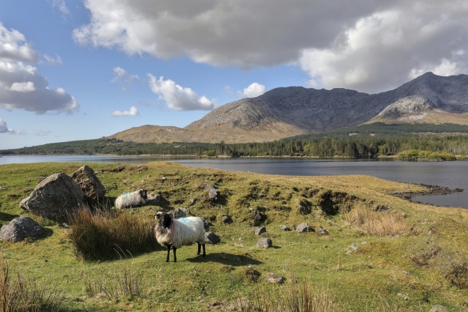 Bahnreise Dublin & Galway mit Bus und Bahn