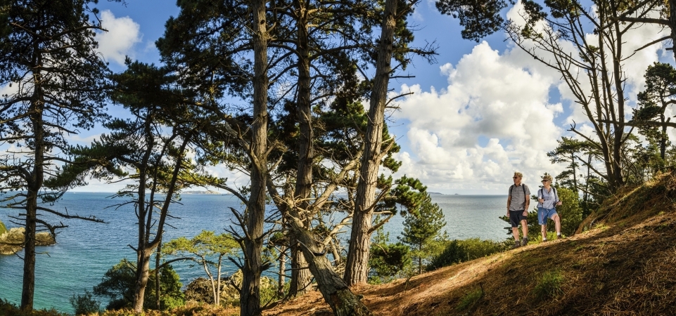 Autoreise Guernsey, Sark und Herm