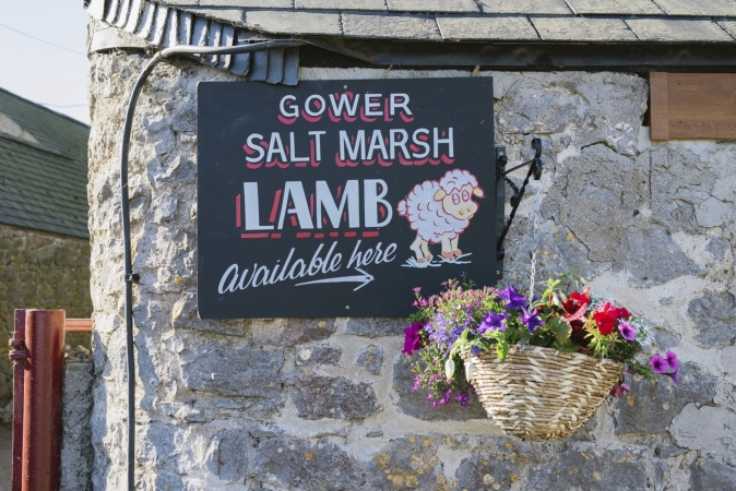 Städtereise Swansea