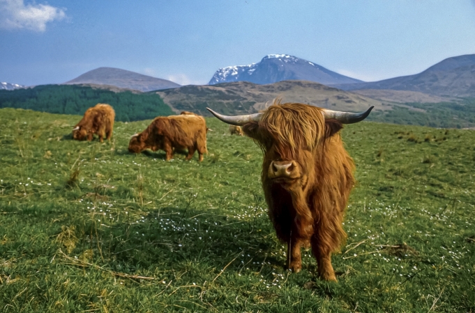 Wanderreise Great Glen Way