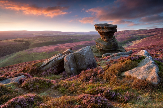 Heidelandschaft mit Felsen bei Sonnenuntergang, purpurfarbene Pflanzen im Vordergrund