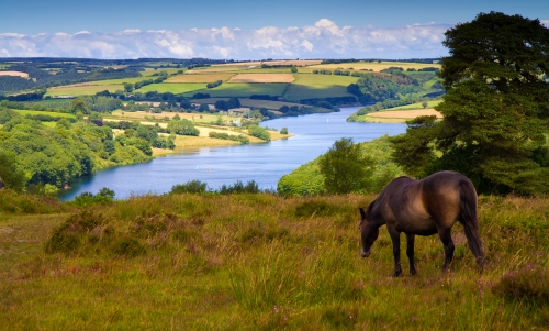 Exmoor Nationalpark