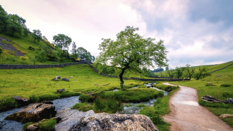 Wanderreise Dales Way