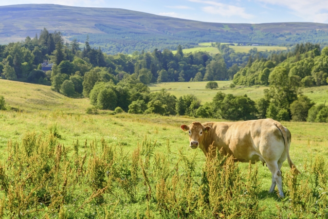 Wandereise Speyside Way