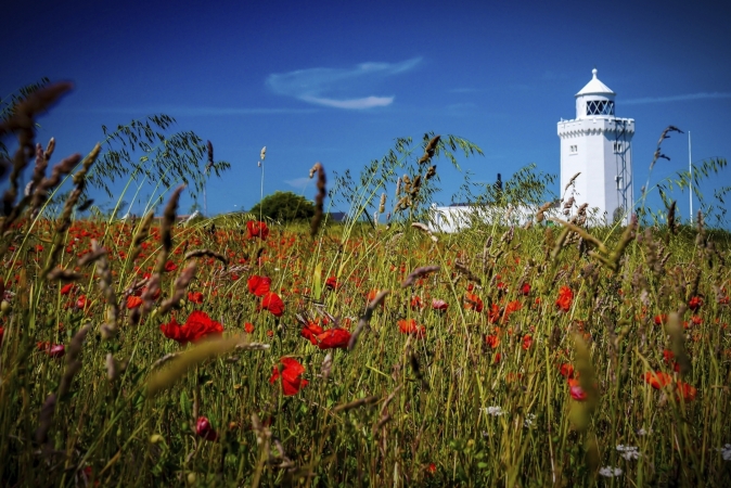 Autoreise Kent Der Garten Englands