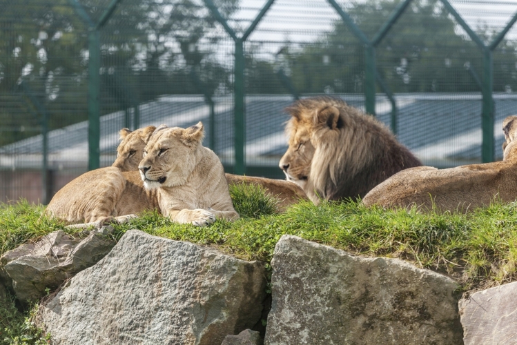 Folly Farm Pembrokeshire