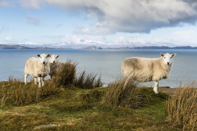 Busreise Highland Explorer & Isle of Skye