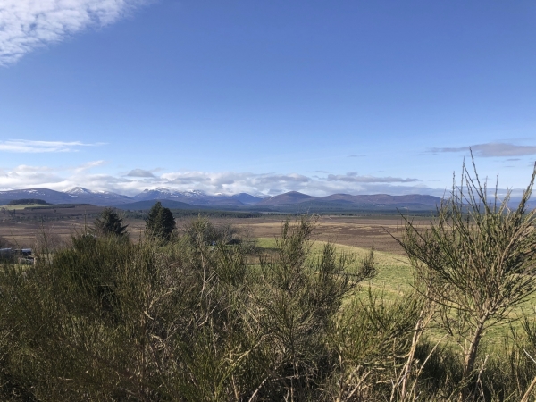 Busreise Speyside Whisky Trail