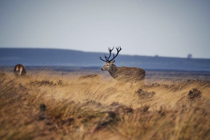 Autoreise Nordwales und der Peak District