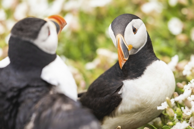 Busreise Im Land des Roten Drachen
