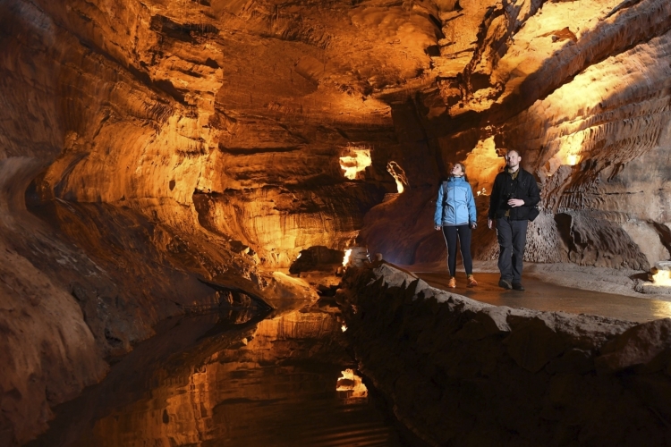 Schauhöhle mit Dinosaurierpark
