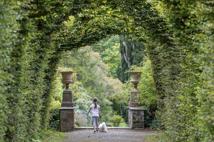 Birr Castle Demesne Offaly