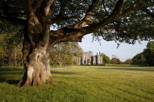 Birr Castle Demesne Offaly
