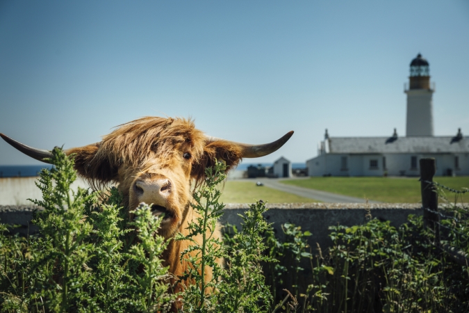 Aktiv Urlaub auf der Isle of Man