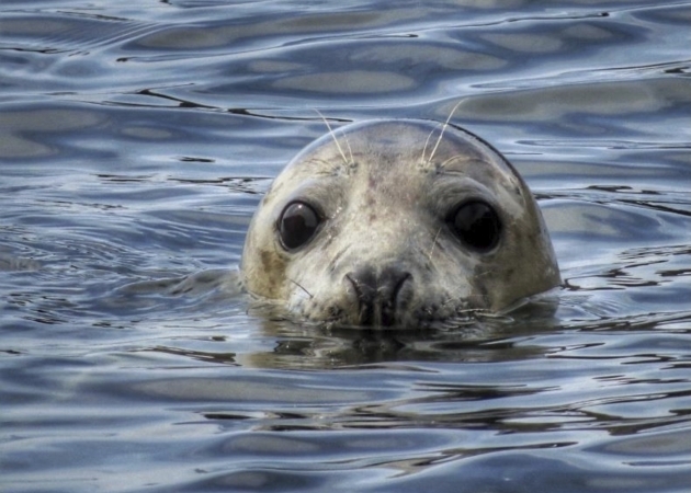 Autoreise Die Vielfalt der isle of Man