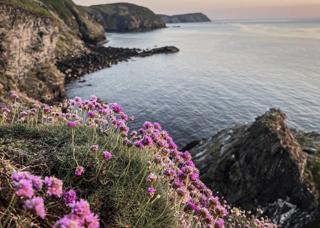 Mountainbike Touren auf der Isle of Man