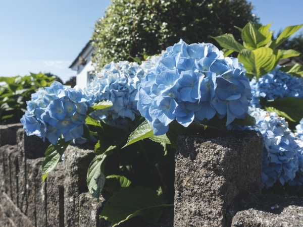 Radereise The Cornish Tour