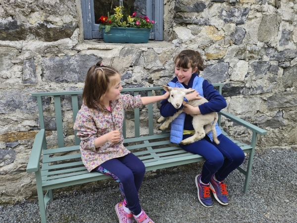 Autoreise Familienspass in Irland