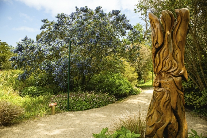 Autoreise Irlands schönste Gärten