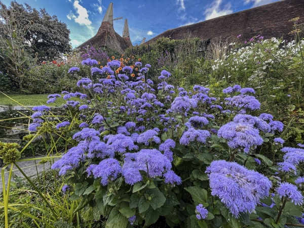 Golfreise Royal Kent Coast