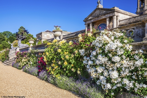Bowood House & Gardens, Wiltshire, England