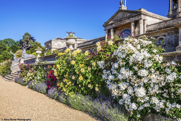 Bowood House & Gardens, Wiltshire, England
