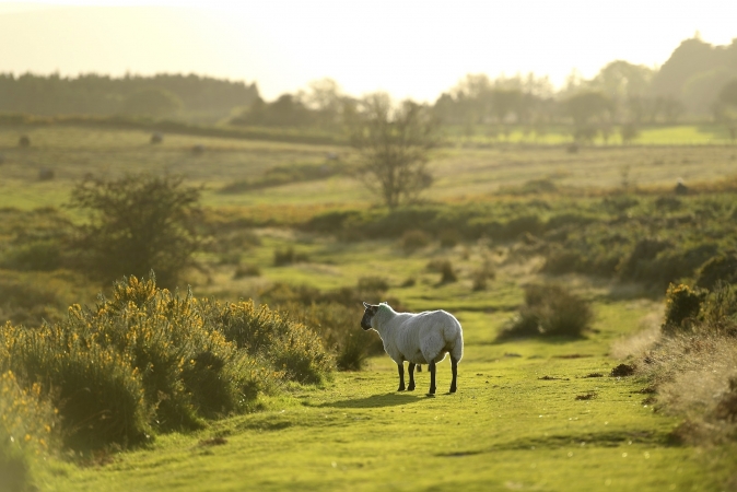 Busrundreise Südwales