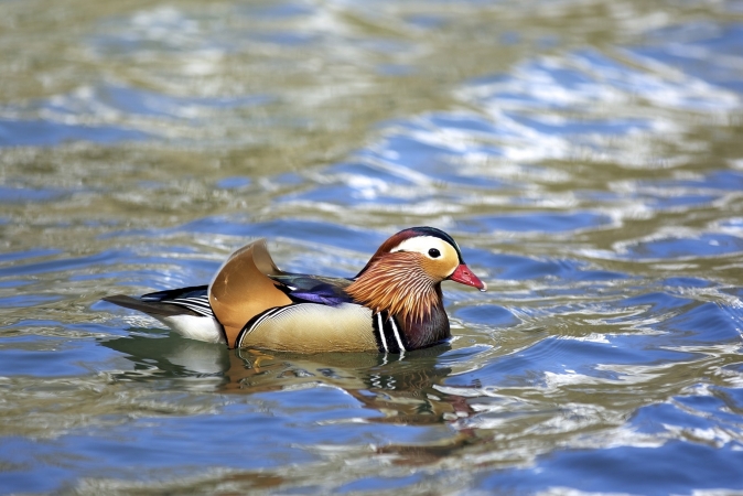 Mit dem Auto nach Herefordshire, Gloucestershire, Worcestershire und die Cotswolds