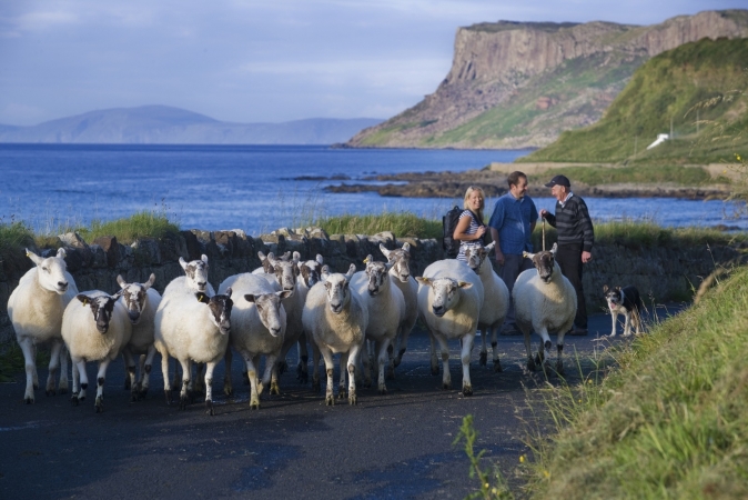Wandern an der Causeway Coast Nordirland