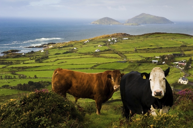 Wanderurlaub Kerry Südwesten Irland