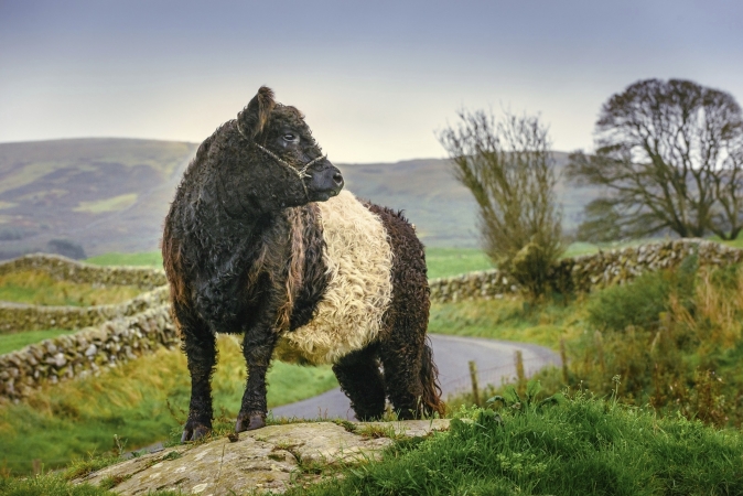 Motorradreise Südschottland