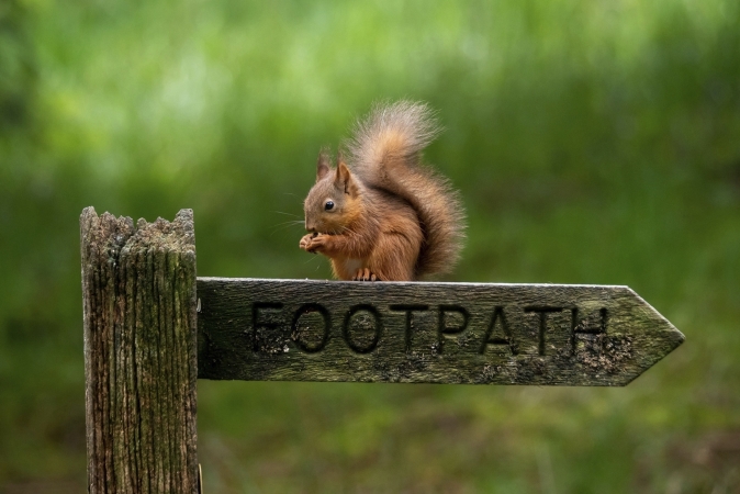 Wanderreise Herriot Way