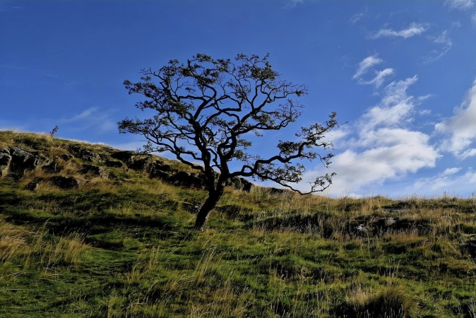 Wanderreise Pennine Way