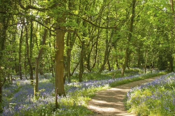 Wanderreise Guernsey Coastal Path