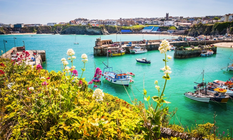 Hafen mit Booten und blühenden Blumen im Vordergrund, sonniger Himmel, Küstenstadt im Hintergrund.
