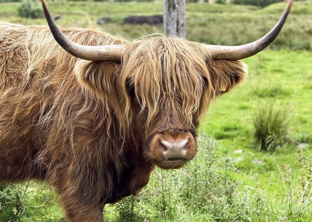 Fahrradurlaub in Schottland