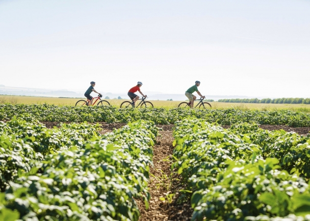 Radreise Yorkshire Wolds, England