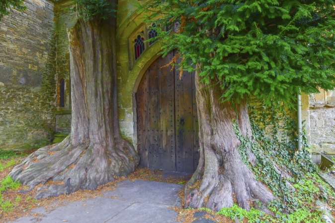Eiben am Nordtor der St Edward's Church, Stow on the Wold, England
