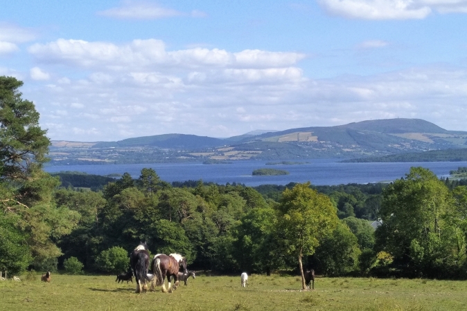Reiturlaub in Clare, Irland